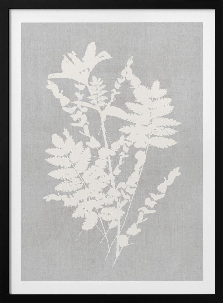 Botanische Illustration 5 | Poster