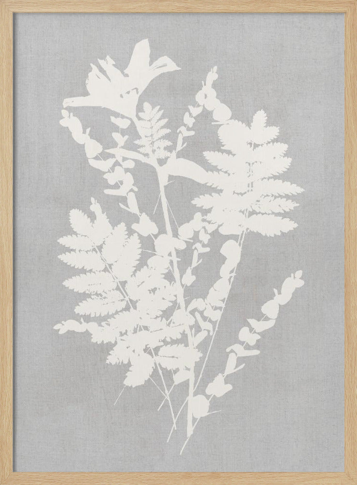 Botanische Illustration 5 | Poster