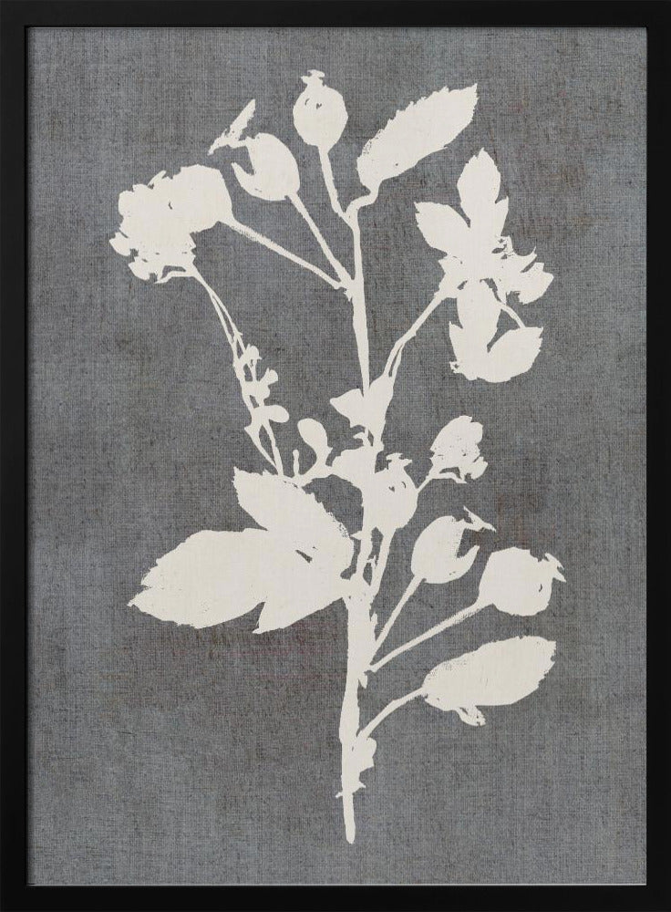 Botanische Illustration 6 | Poster