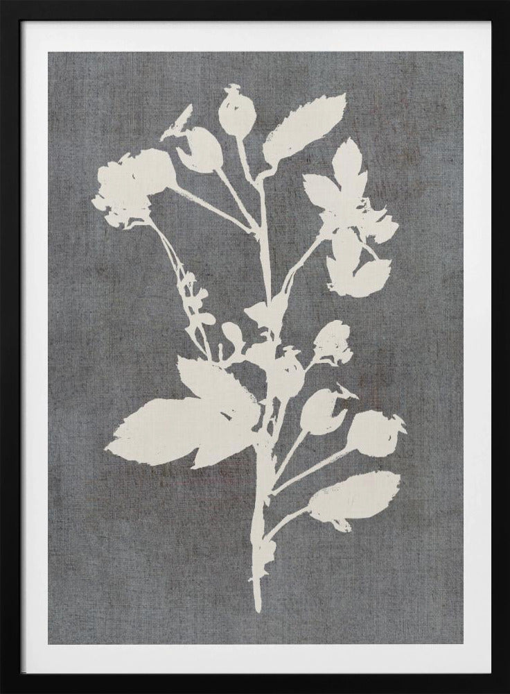 Botanische Illustration 6 | Poster