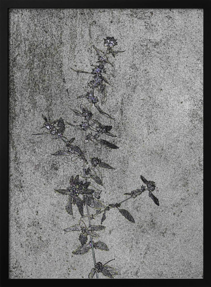 Betonblüten | Poster