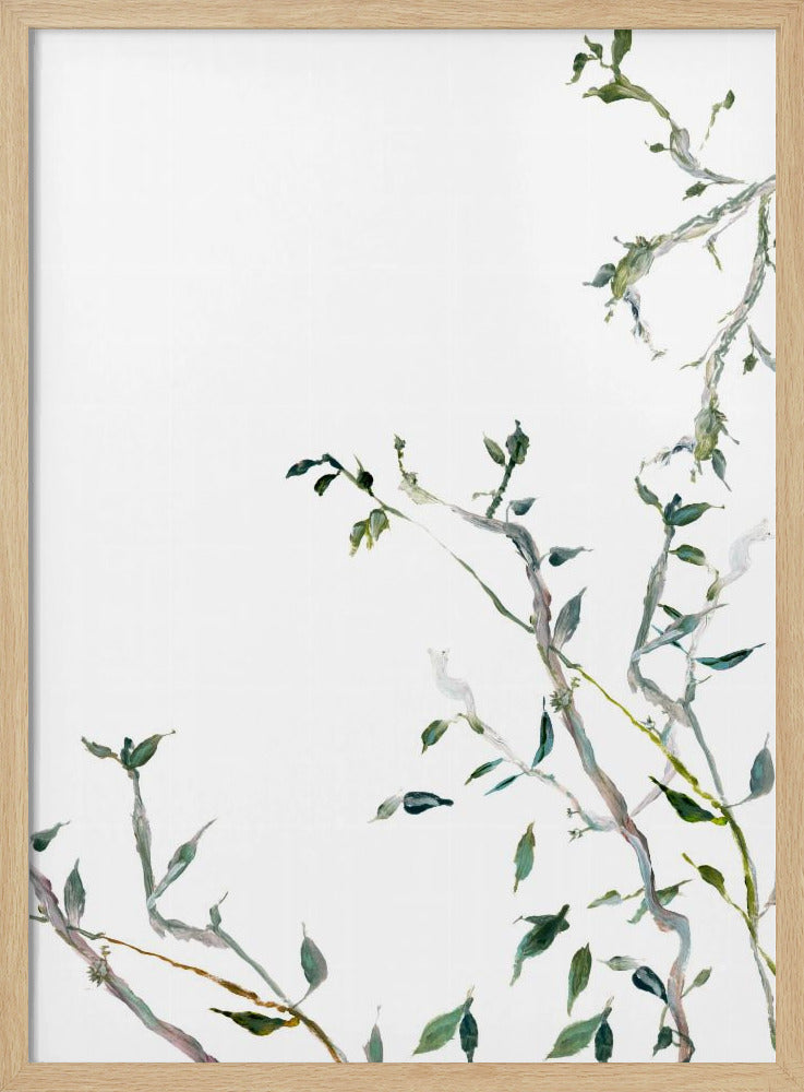 Botanische Zweige Nr. 1 | Poster
