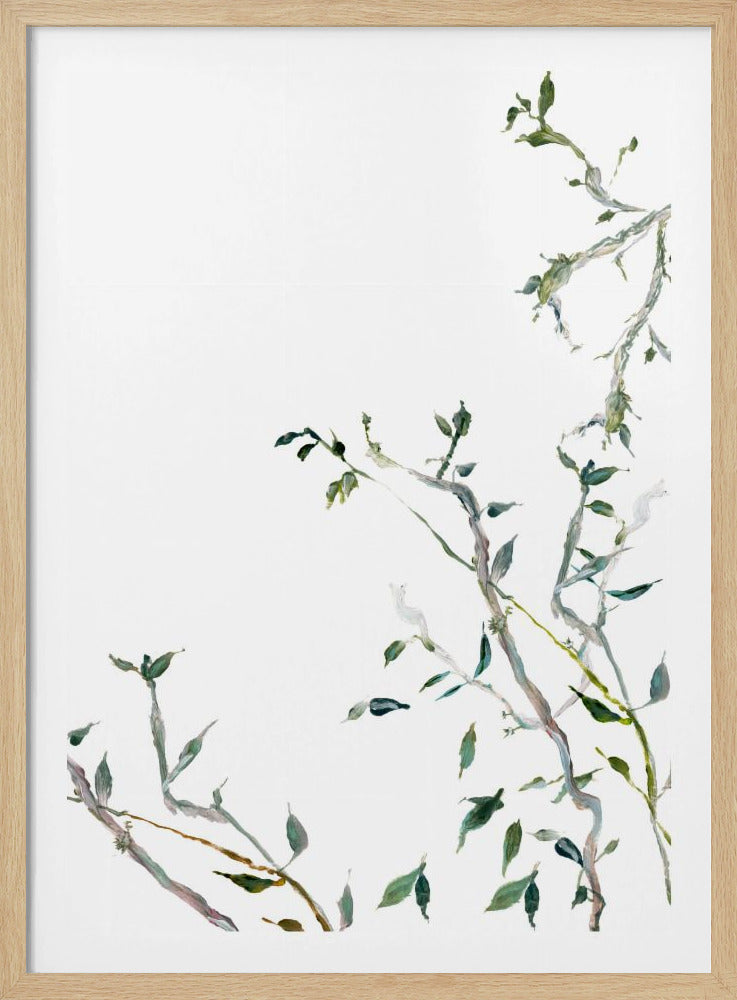 Botanische Zweige Nr. 1 | Poster
