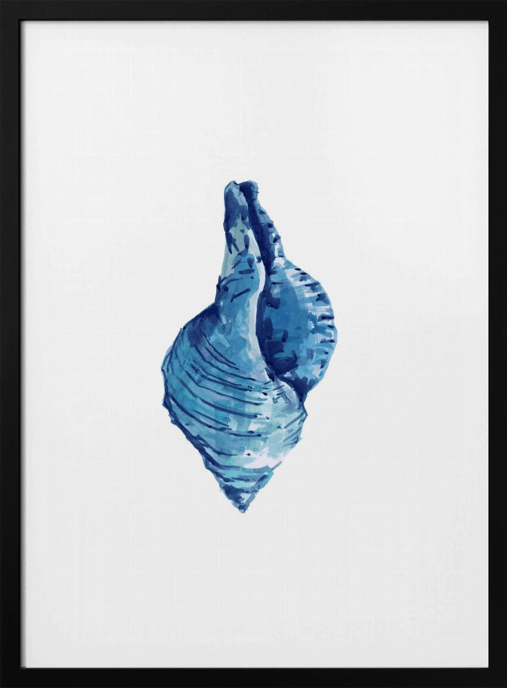 Blaue Muschel auf weißem Hintergrund Nr. 3 | Poster