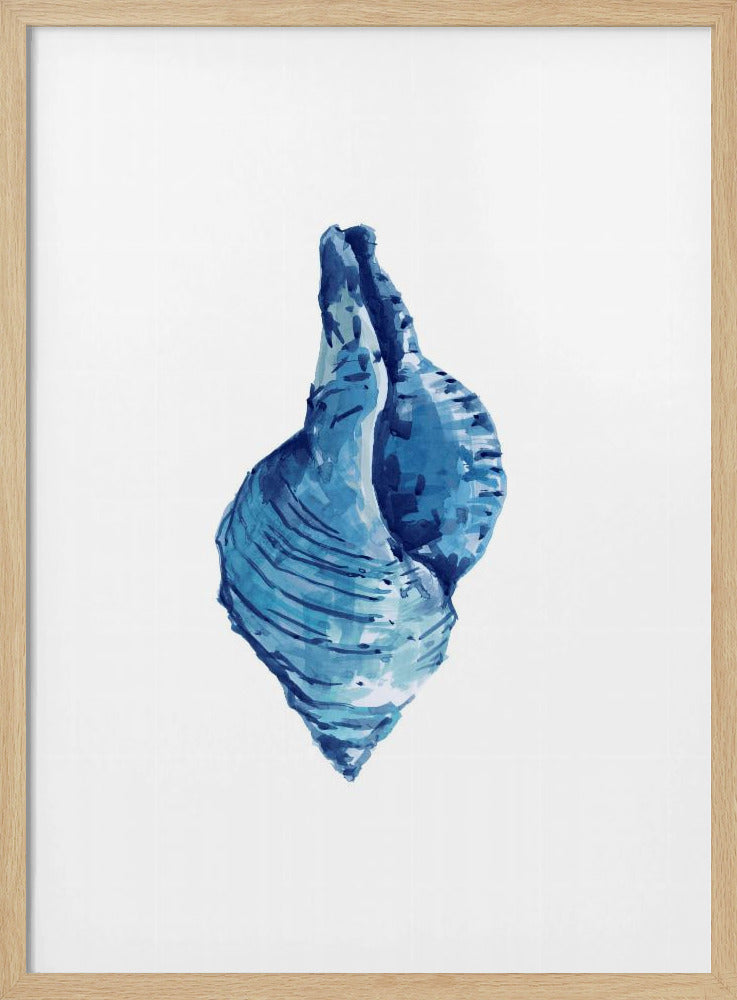 Blaue Muschel auf weißem Hintergrund Nr. 3 | Poster