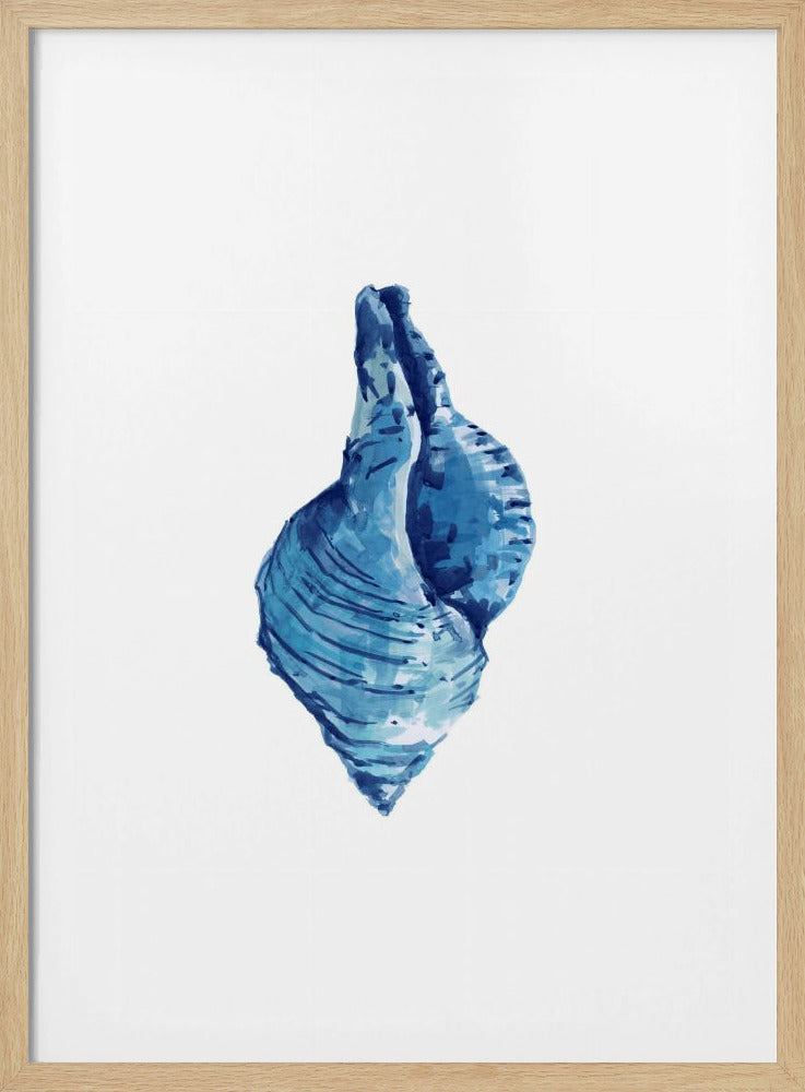 Blaue Muschel auf weißem Hintergrund Nr. 3 | Poster