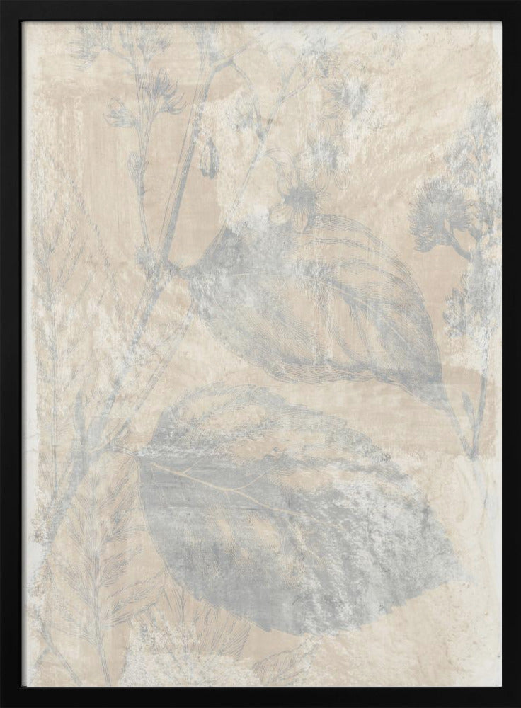 Woodsia 1 | Poster