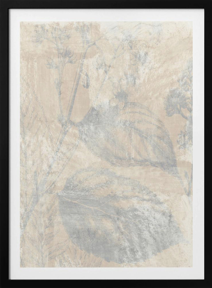 Woodsia 1 | Poster
