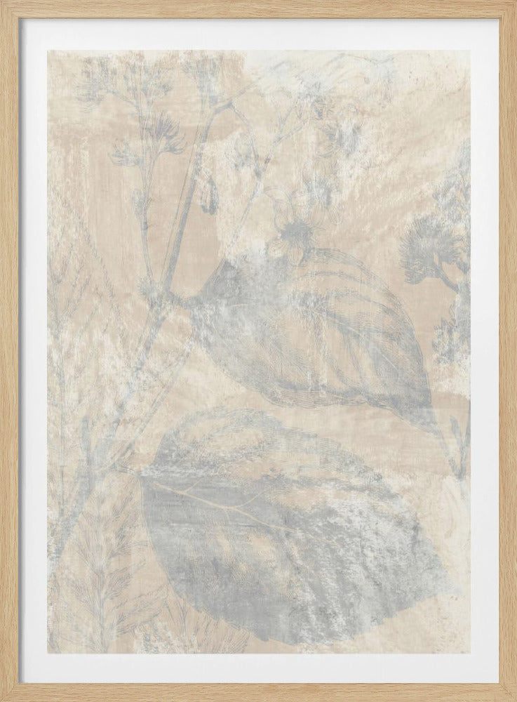 Woodsia 1 | Poster