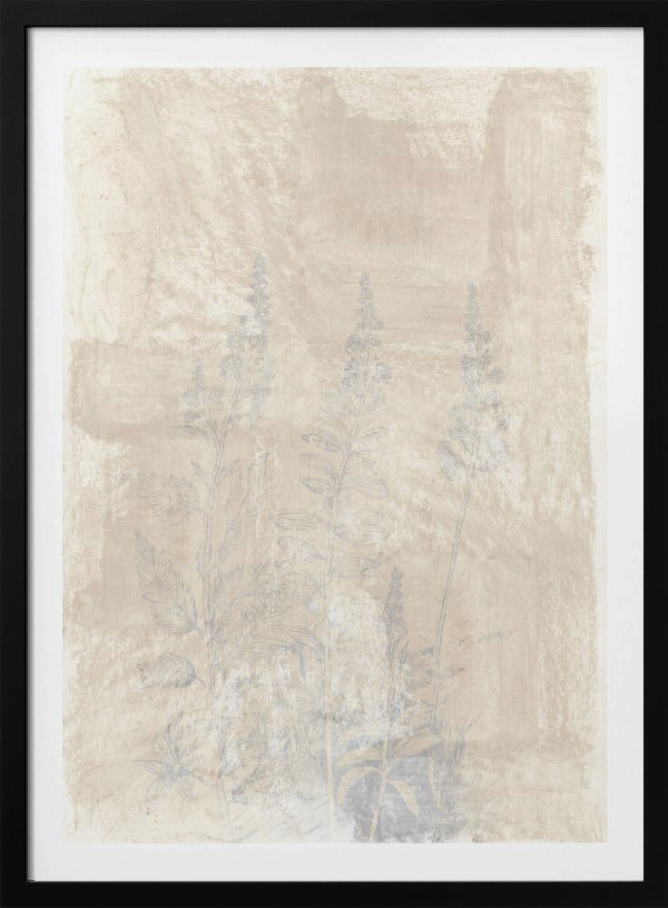 Woodsia 2 | Poster