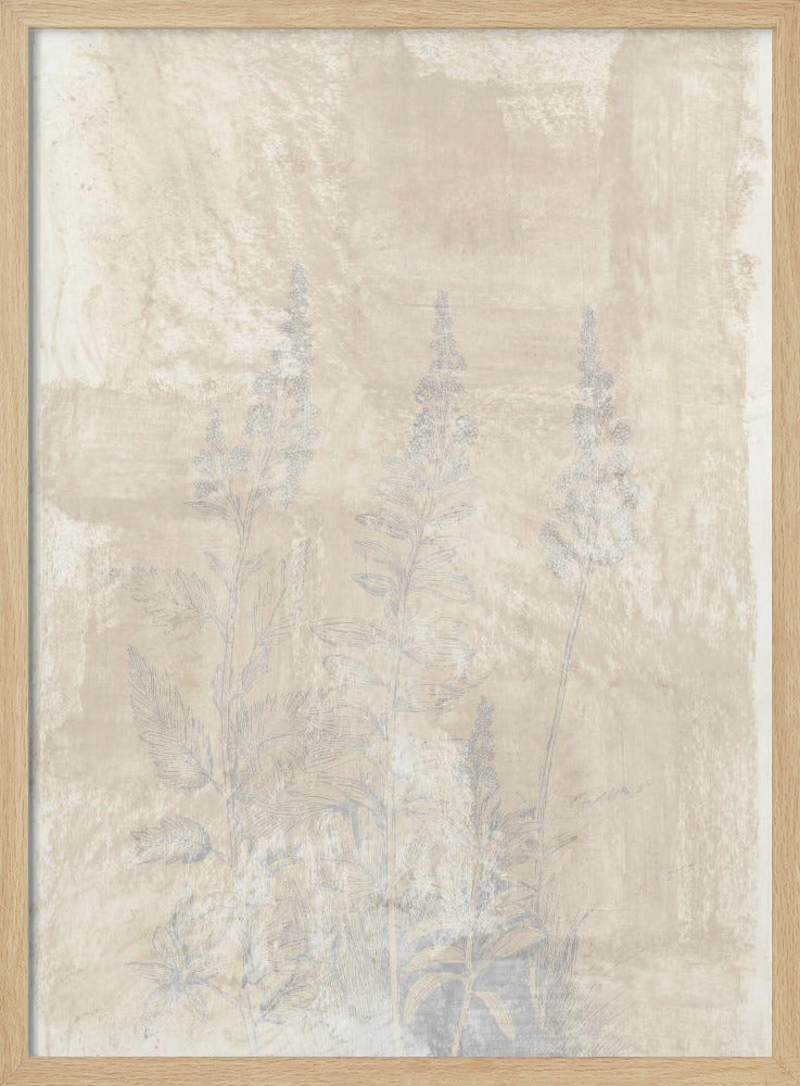 Woodsia 2 | Poster