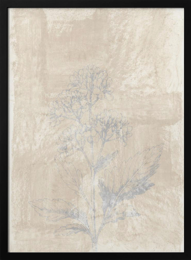 Woodsia 3 | Poster