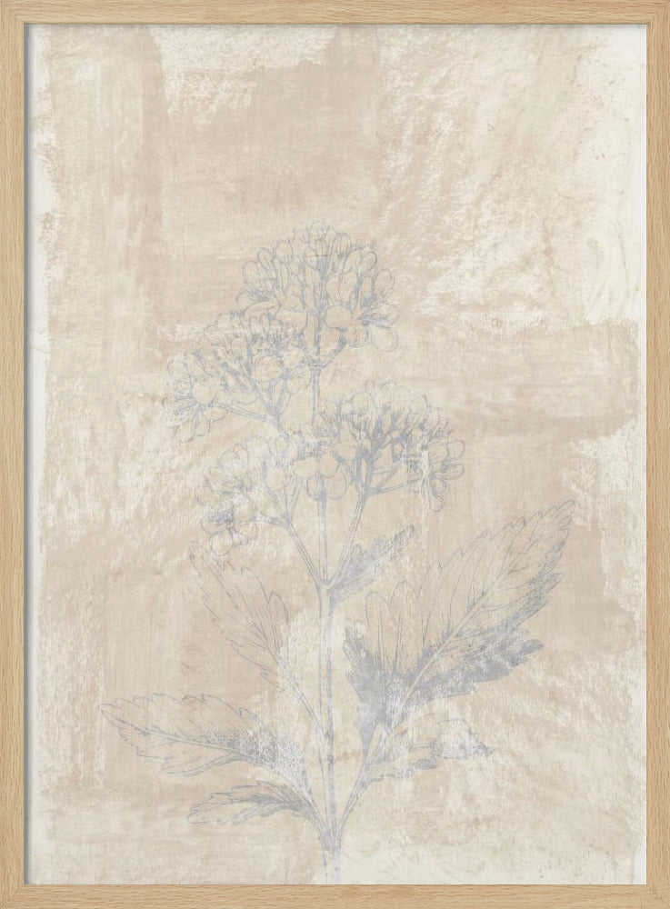 Woodsia 3 | Poster