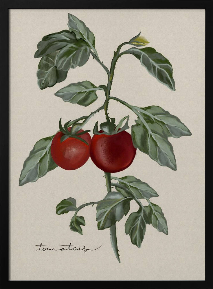 Vintage Garten | Poster