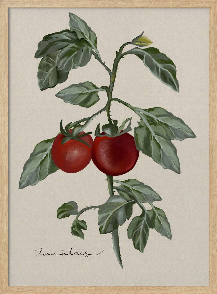 Vintage Garten | Poster