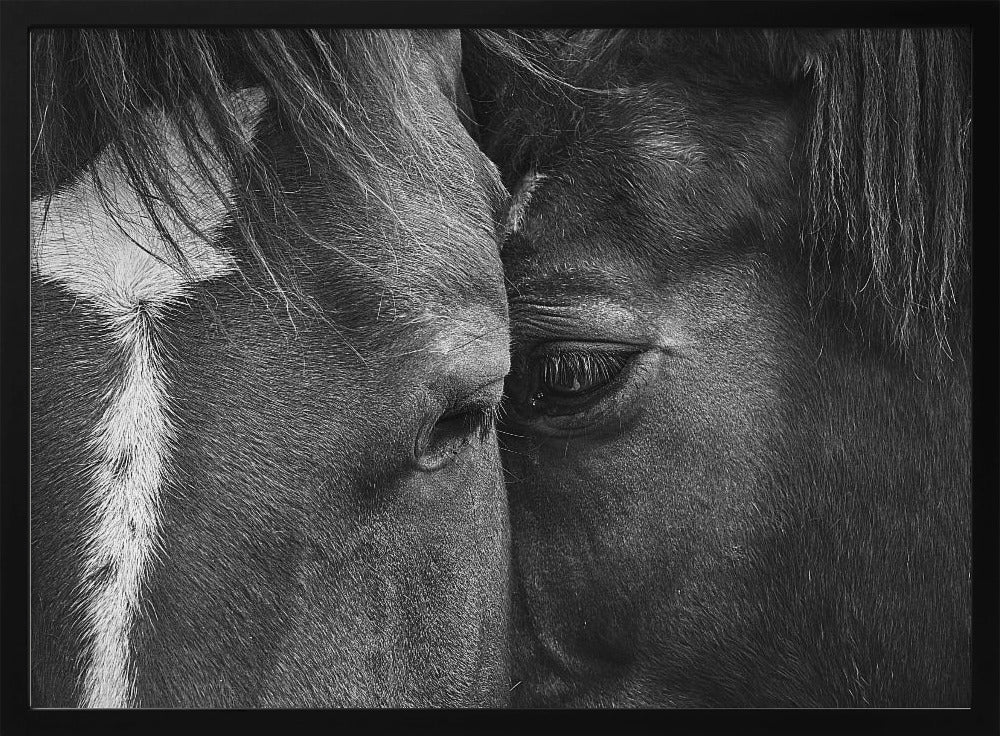 Love | Poster