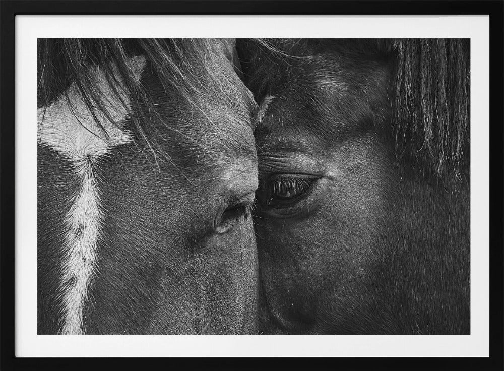 Love | Poster