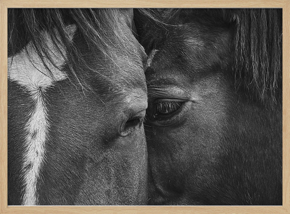 Love | Poster