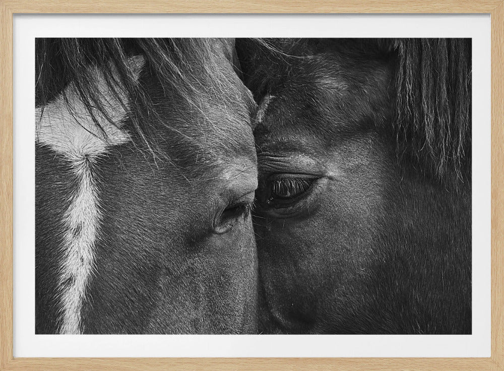 Love | Poster