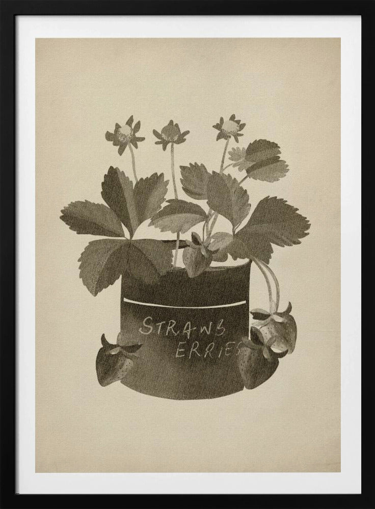 Vintage Erdbeerpflanze | Poster