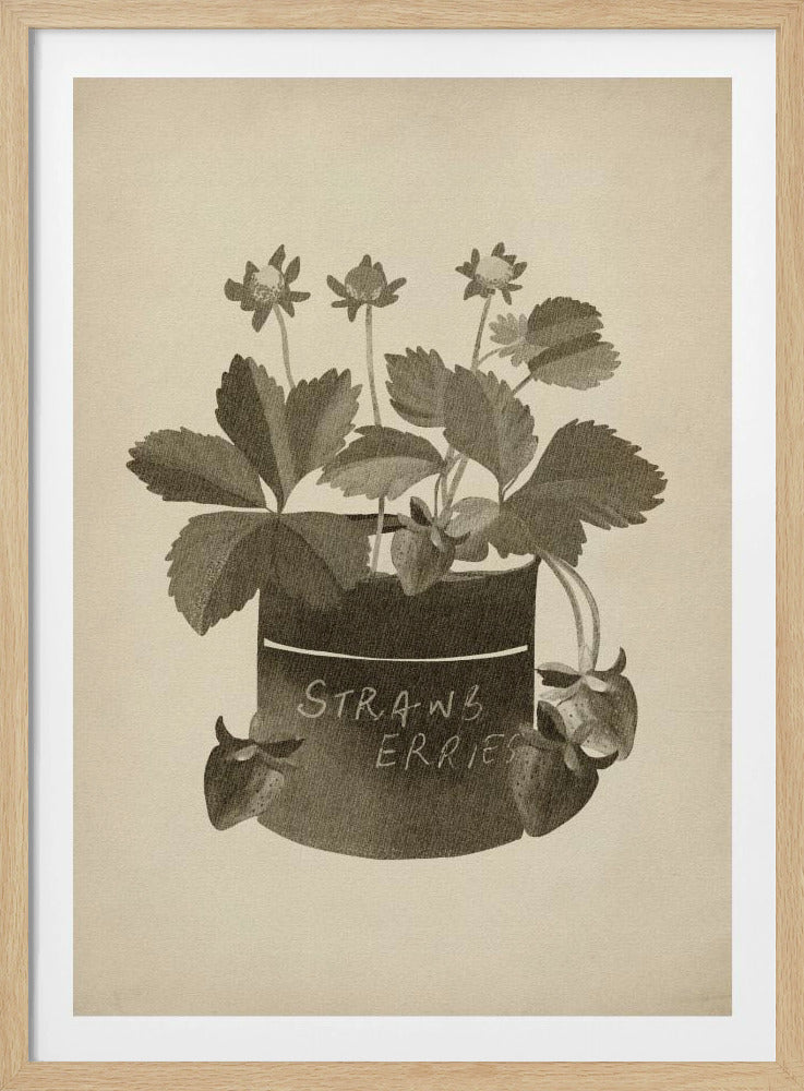 Vintage Erdbeerpflanze | Poster