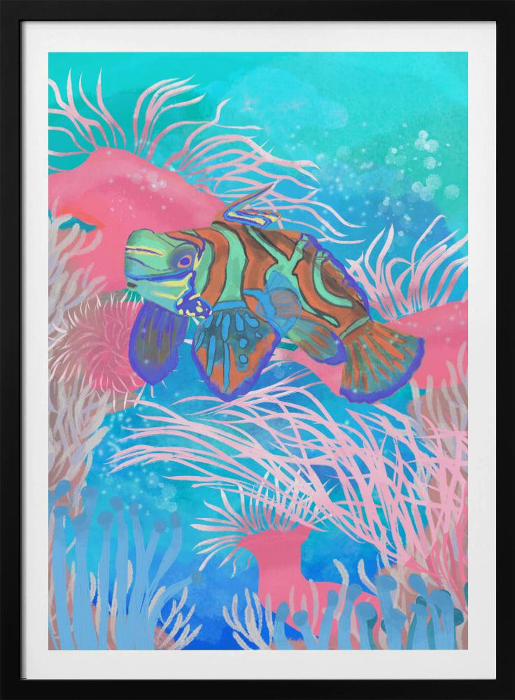 Mandarinfisch | Poster