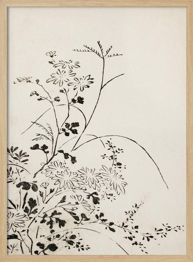 Herbstblumen und Gräser (1762) | Poster