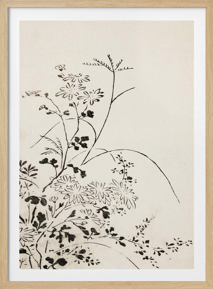 Herbstblumen und Gräser (1762) | Poster