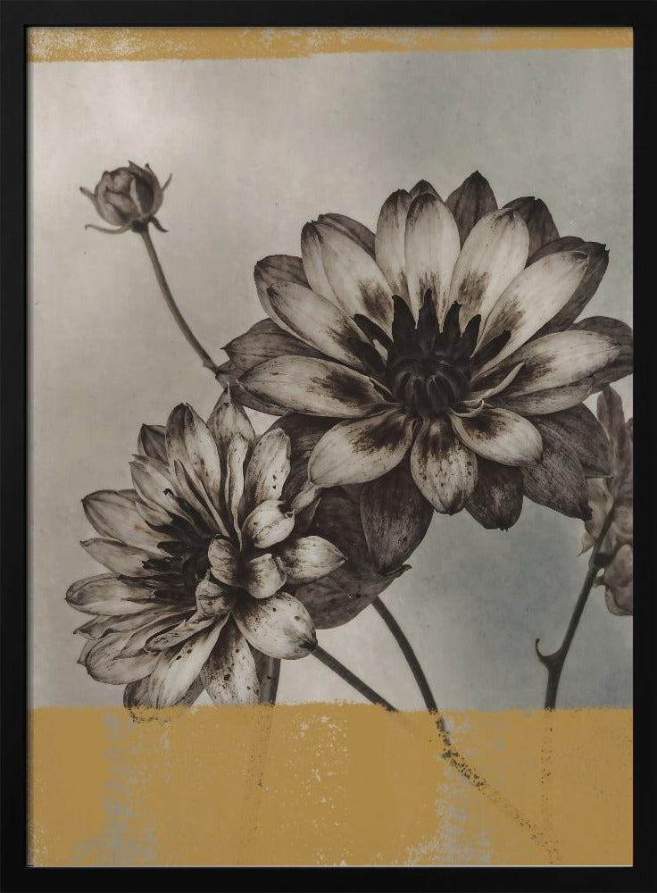 Vintage Blumen Nr. 6 | Poster
