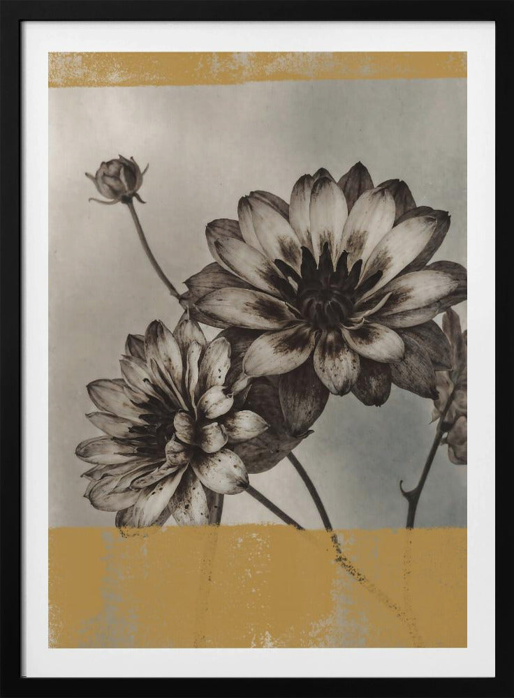 Vintage Blumen Nr. 6 | Poster