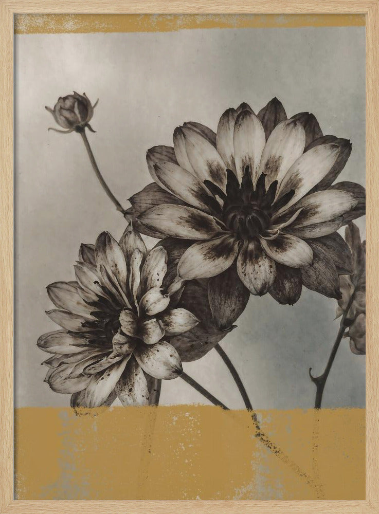 Vintage Blumen Nr. 6 | Poster