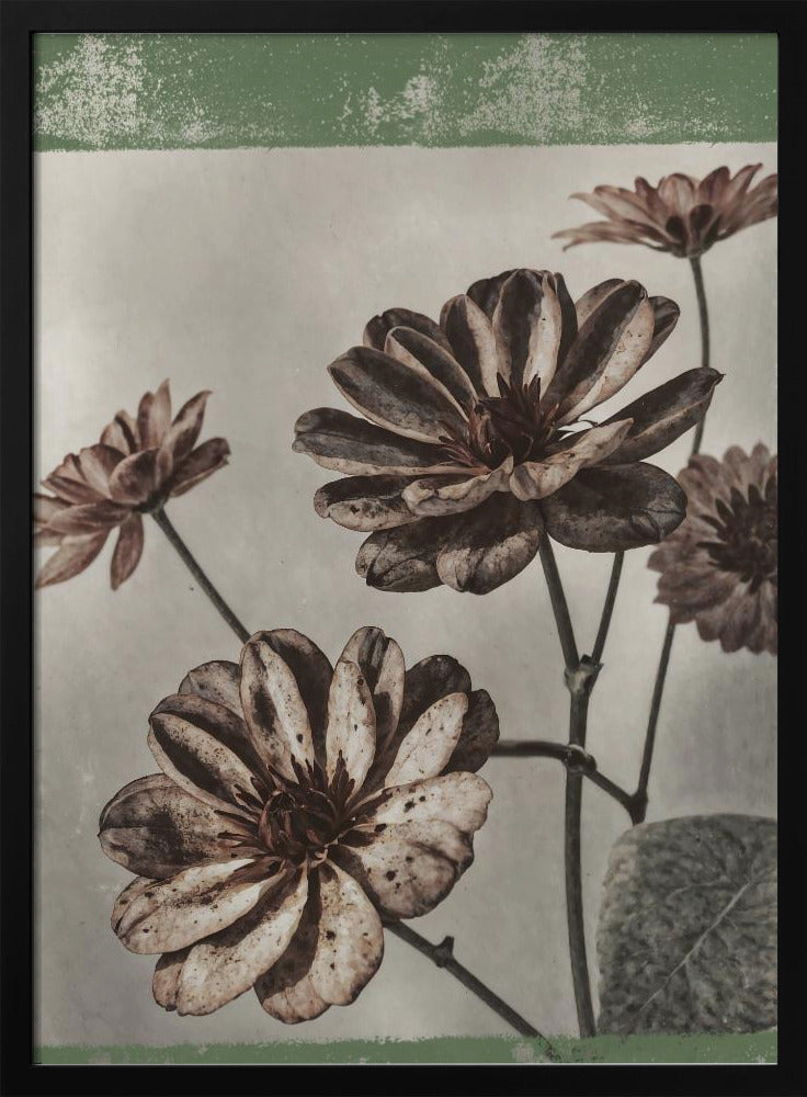 Vintage Blumen Nr. 7 | Poster