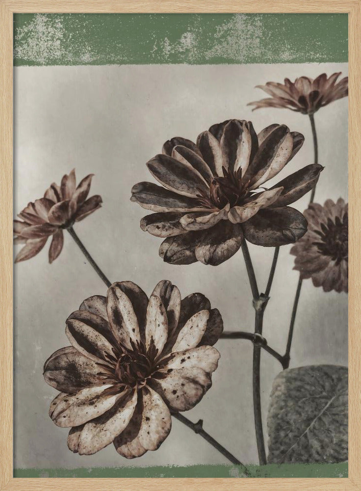 Vintage Blumen Nr. 7 | Poster