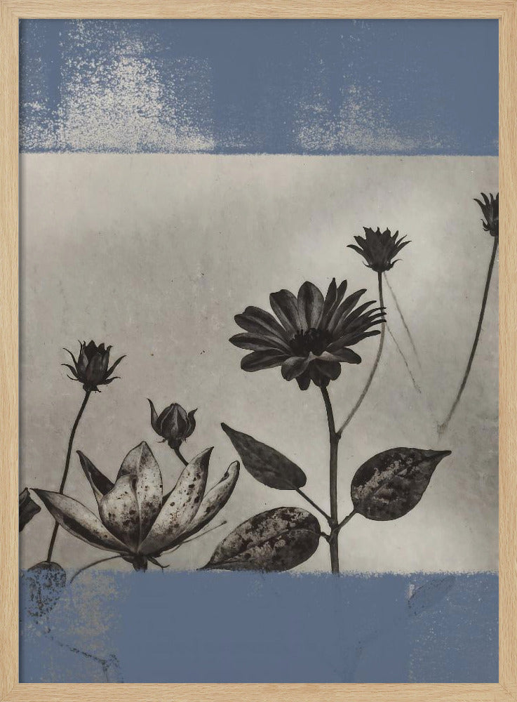 Vintage Blumen Nr. 8 | Poster