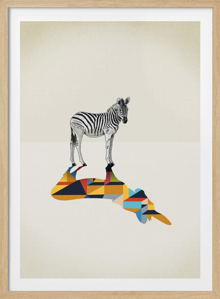 Gehender Schatten, Zebra | Poster