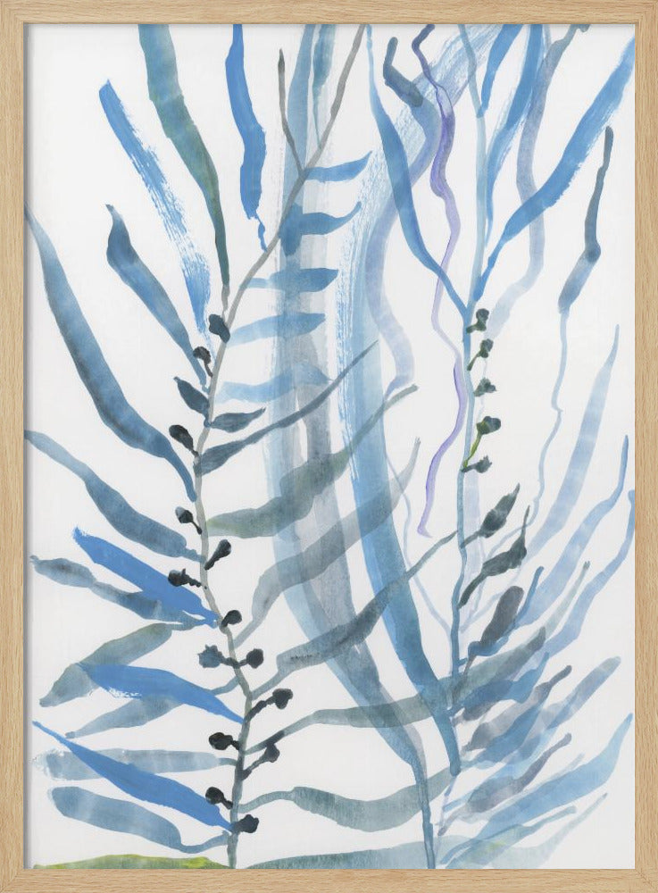 Blaue Algen Nr. 1 | Poster
