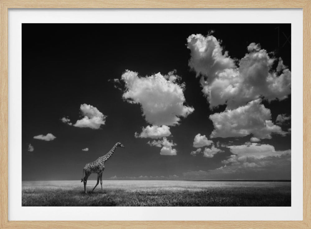 Von den Wolken verweht | Poster