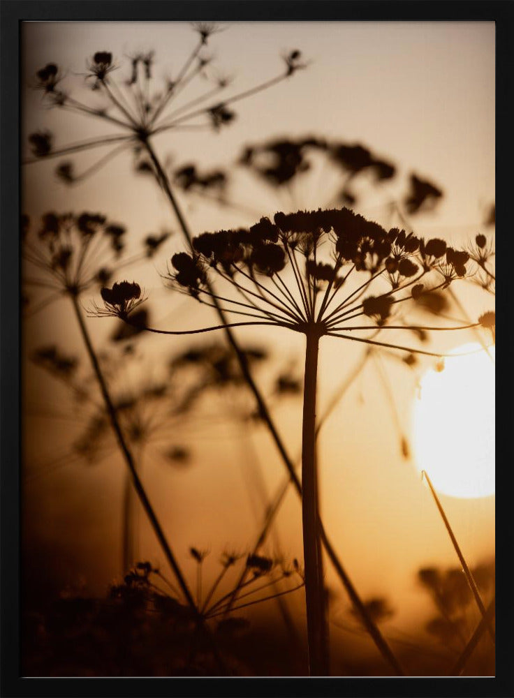 Goldene Stunde 1 | Poster