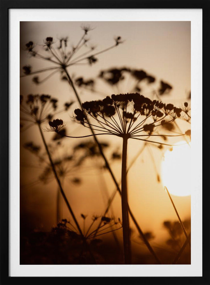 Goldene Stunde 1 | Poster