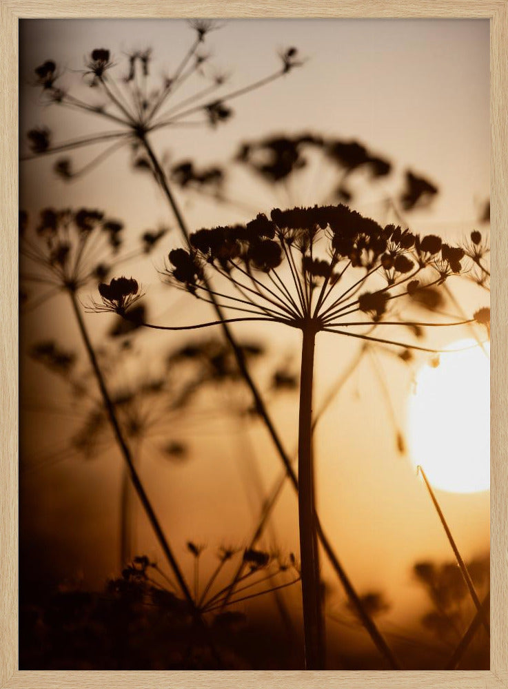 Goldene Stunde 1 | Poster