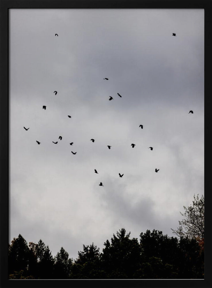 Vögel und Wolken 1 | Poster