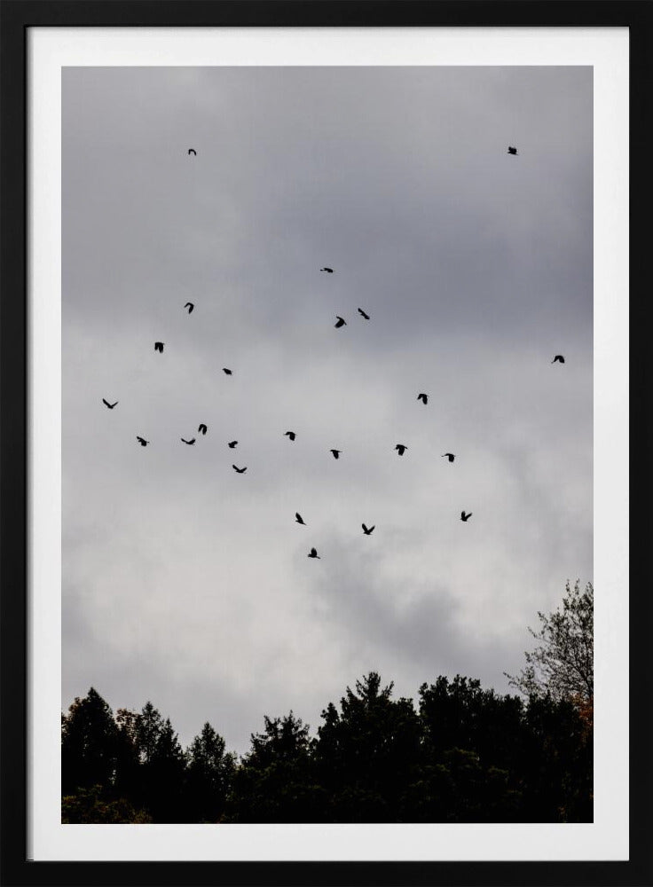 Vögel und Wolken 1 | Poster