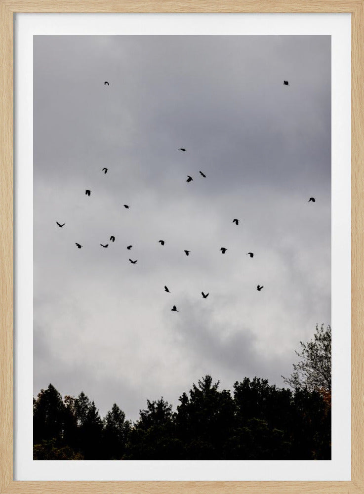 Vögel und Wolken 1 | Poster