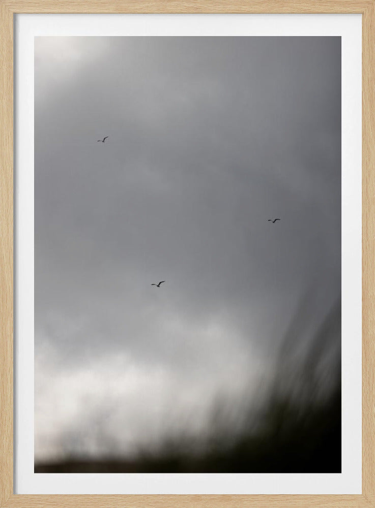 Vögel und Wolken 2 | Poster