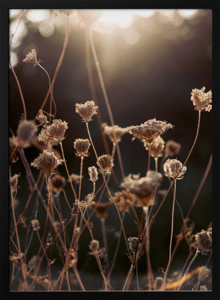 Warmes Winterlicht 2 | Poster