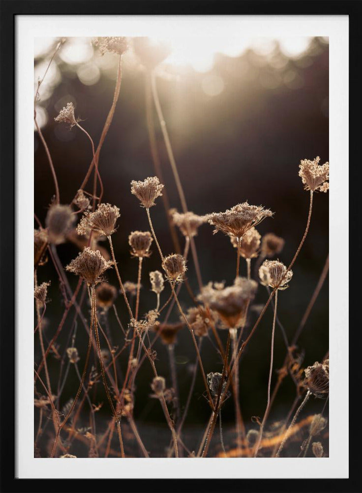 Warmes Winterlicht 2 | Poster