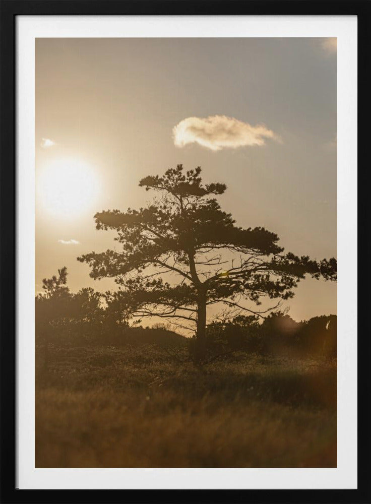 Baum in den Dünen 1 | Poster
