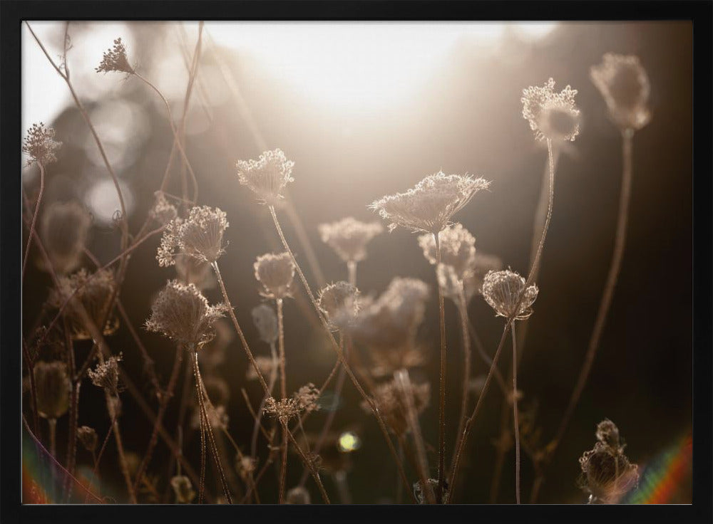 Warmes Winterlicht 3 | Poster