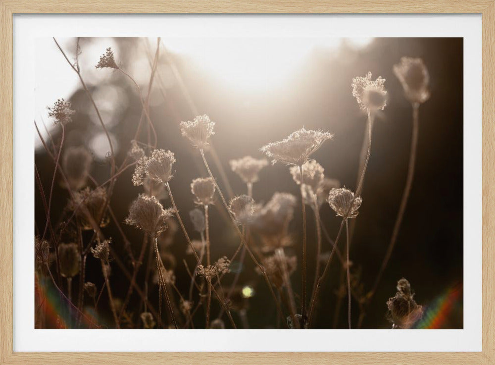 Warmes Winterlicht 3 | Poster