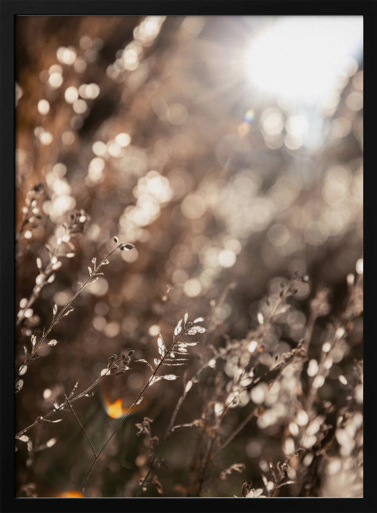Warmes Winterlicht 6 | Poster